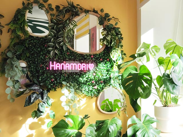 location instagrammable grenoble hanamori vegetal